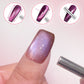 Einfaches Cat-Eye-Gel-Nagellack-Set