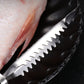 🎁Früher Black Friday Sale🎁Zeitlich begrenzt 40%RABATT💕Fischschuppenentferner aus Edelstahl