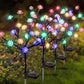 🌸Herbstschlussverkauf🌸Je mehr Sie kaufen, desto höher ist der Rabatt💕Solarbetriebenes, wetterbeständiges LED-Gartenleuchten-Set