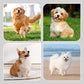🥰Black Friday Sale – Zeitlich begrenzt 37%RABATT🥰2 Paar rutschfeste, wasserdichte, warme Hundesockenschuhe